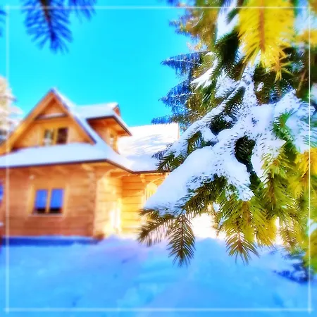 Domek Goralski Stary Mlyn Zakopane House Exterior photo