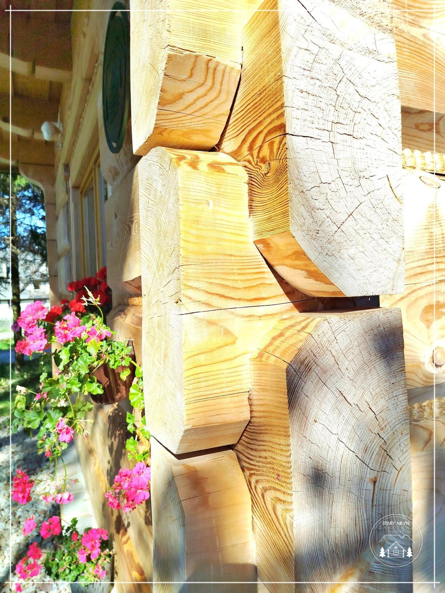 Chalet Goralski Stary Mlyn House Zakopane